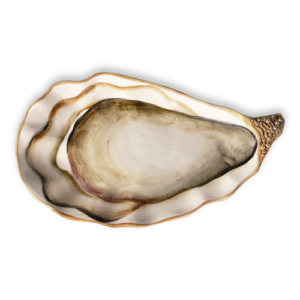 Vassoio grande in ceramica decorata ostrica