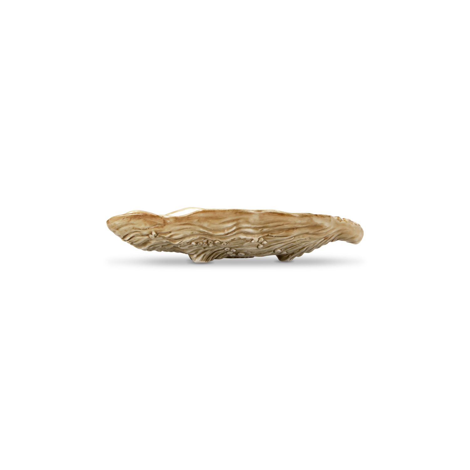 Vassoio piccolo in ceramica decorata ostrica