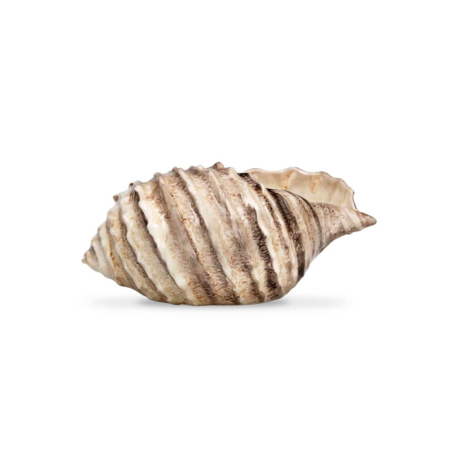 Ciotola in ceramica decorata conchiglia marrone da 20