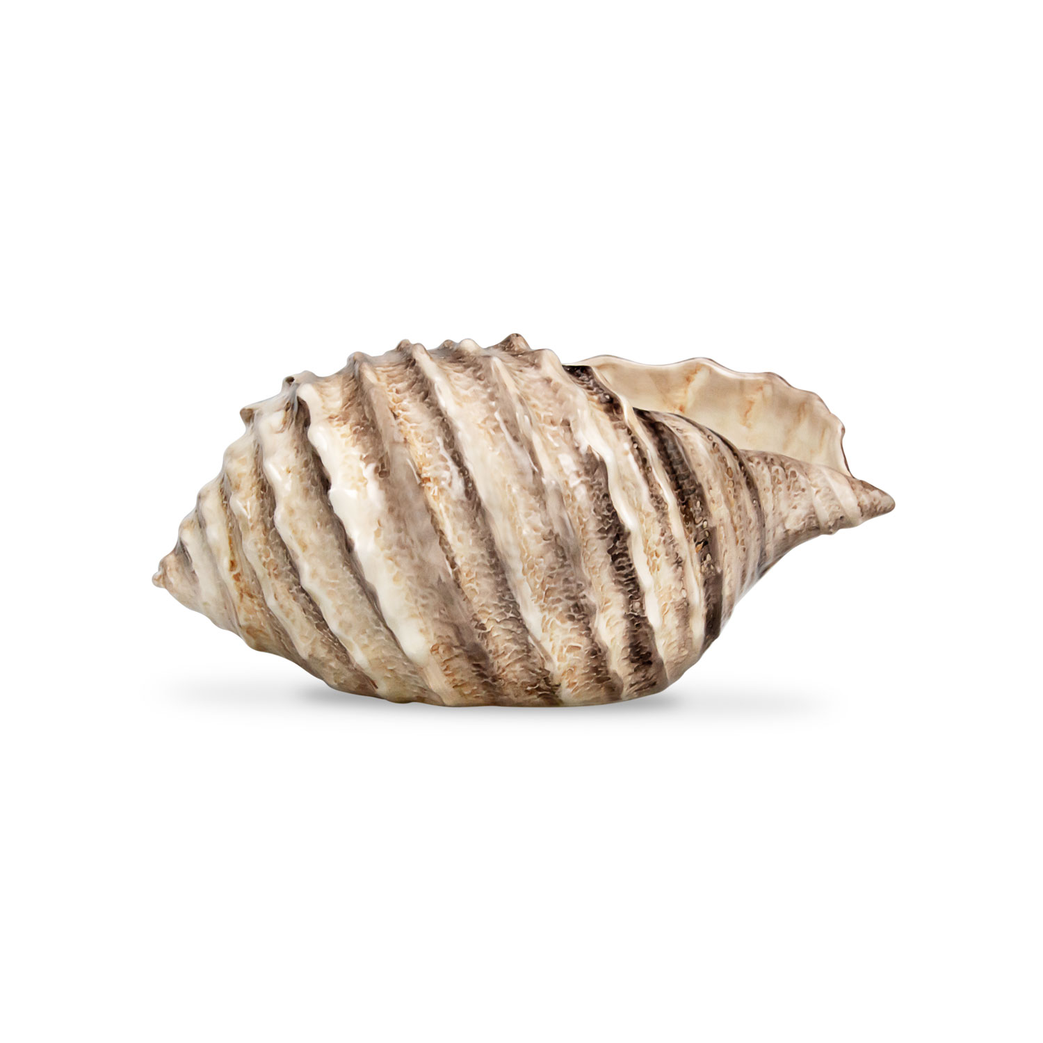 Ciotola in ceramica decorata conchiglia marrone da 26