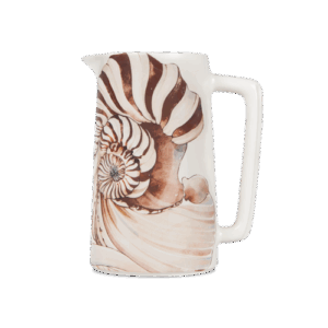 Brocca Seashells