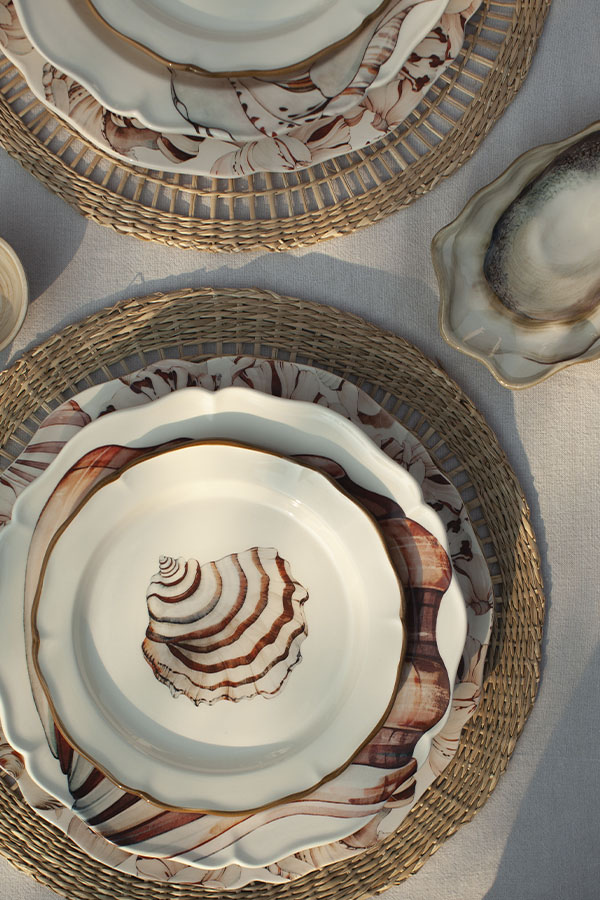 Seashells