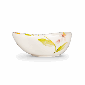 Ciotola da 19 Citrus