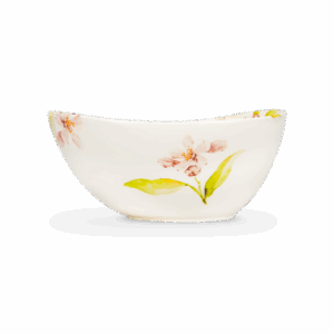 Ciotola da 23 Citrus