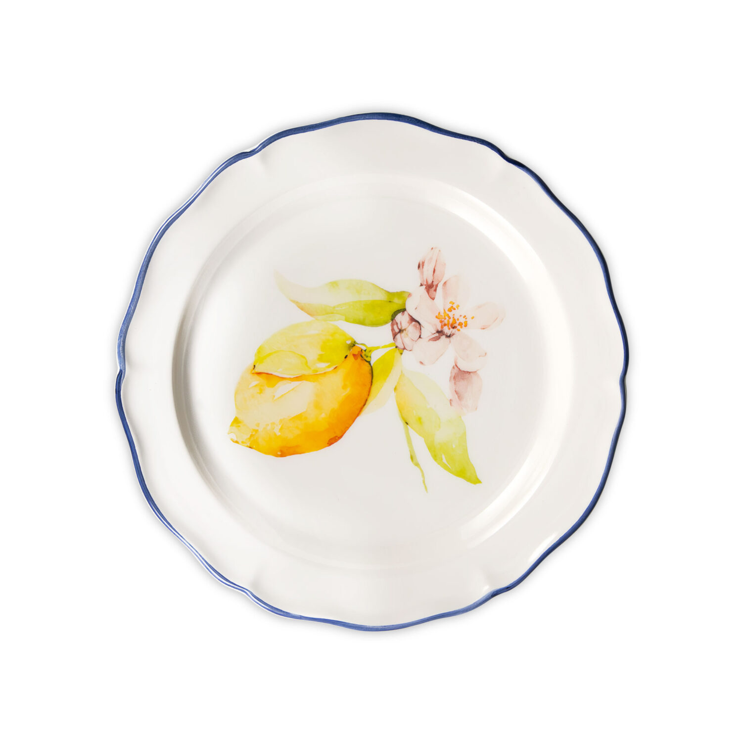 Piatto frutta Citrus blu