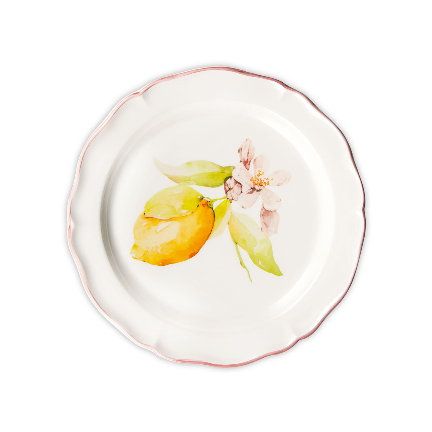 Piatto frutta Citrus rosa