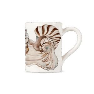 Tazza decoro Seashells