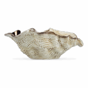 Portachampagne ostrica rame