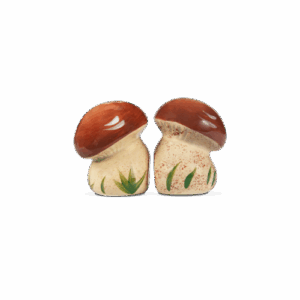 Sale e Pepe Porcini