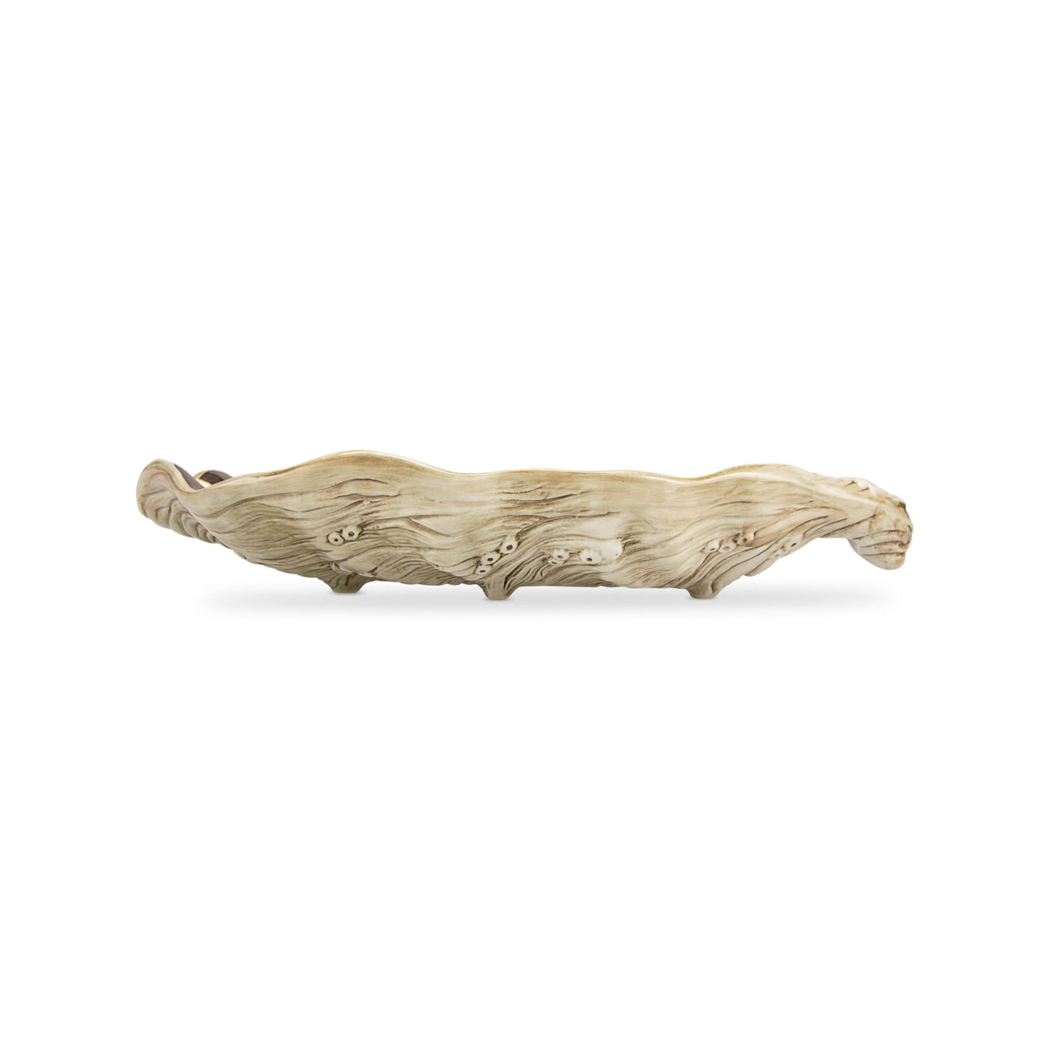 Medium Copper Oyster