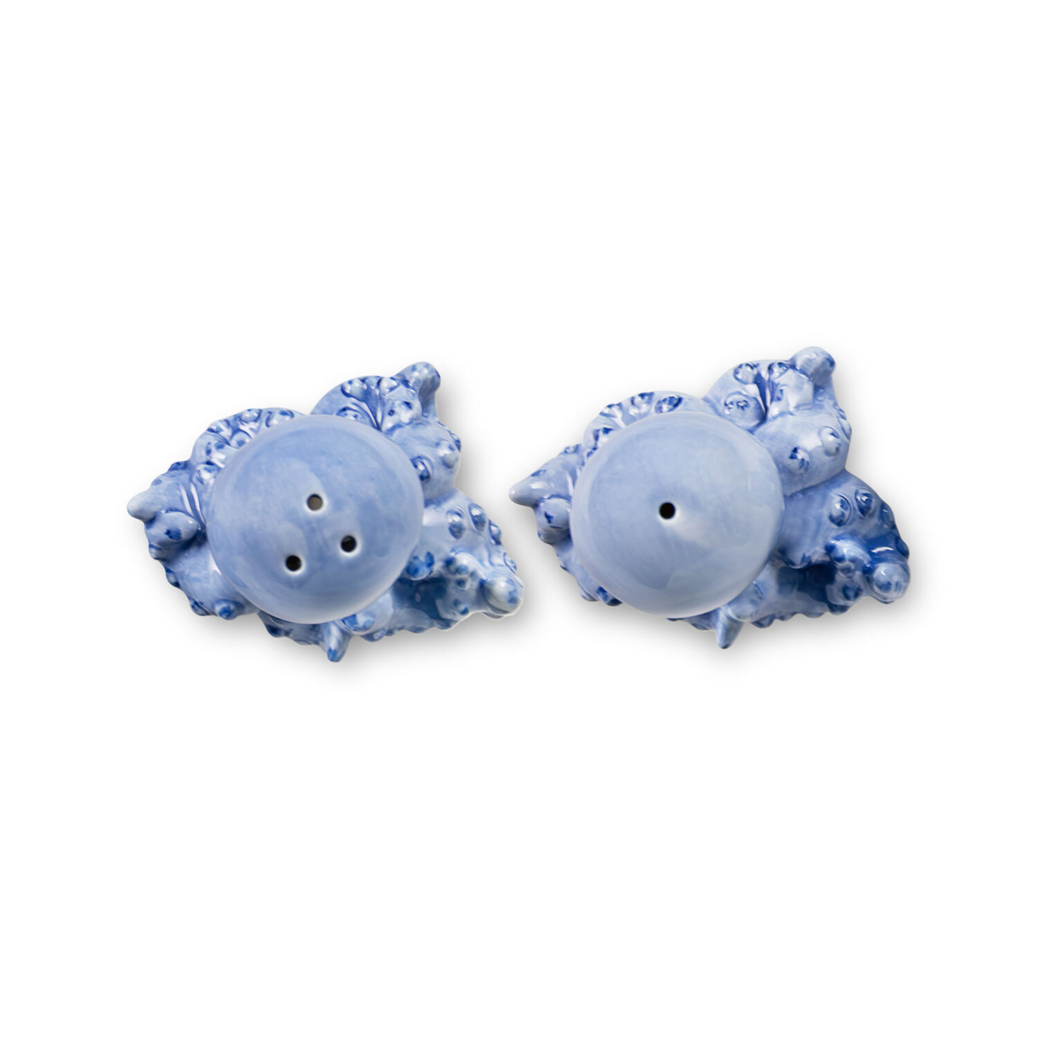 Salz und Pfeffer Blauer Oktopus