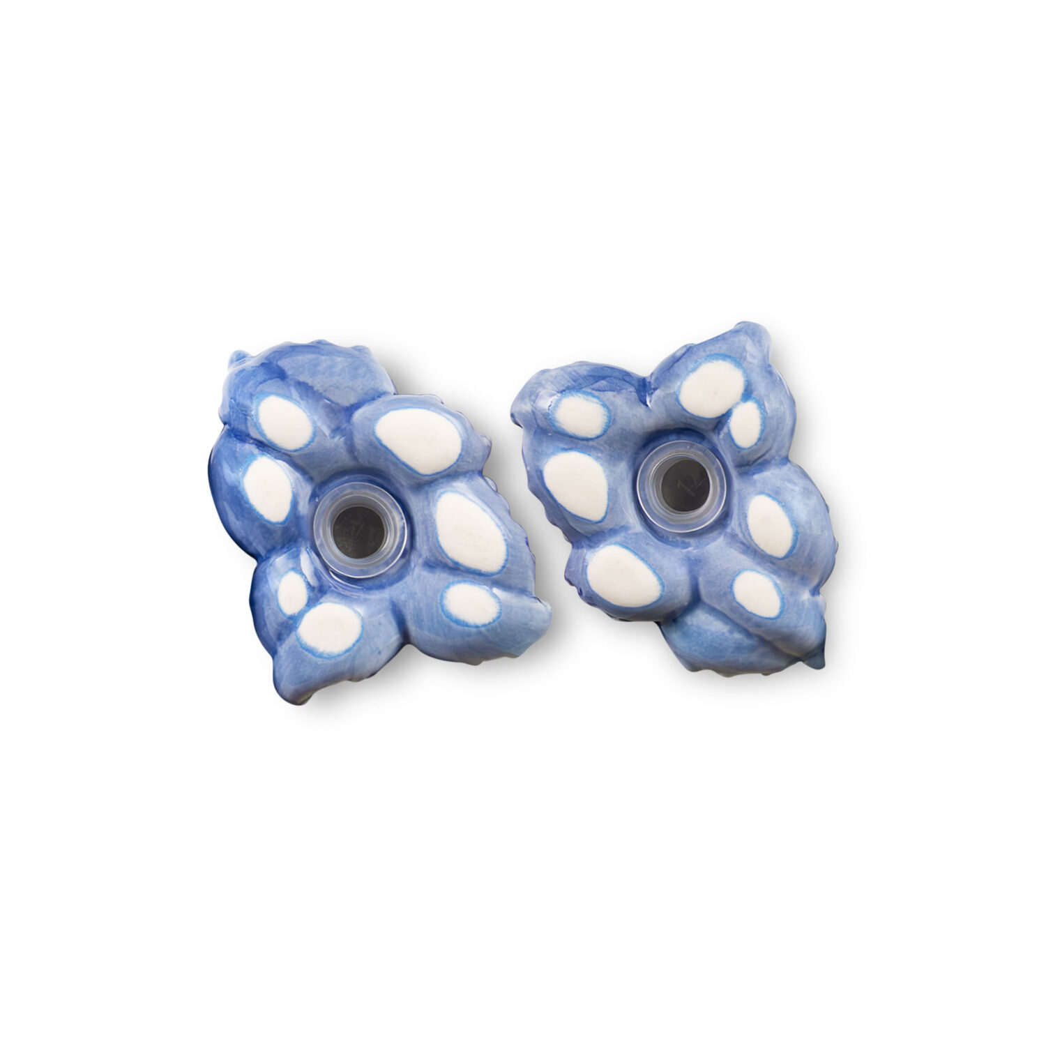 Salz und Pfeffer Blauer Oktopus