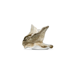 Portacandela ostrica