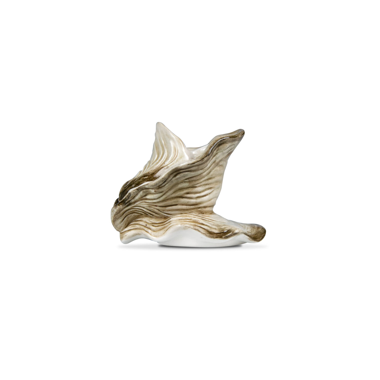 Portacandela ostrica